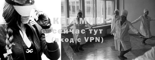 прущие грибы Богданович