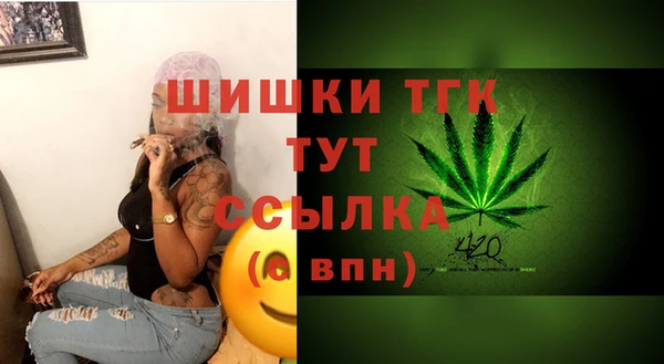 дживик Балахна