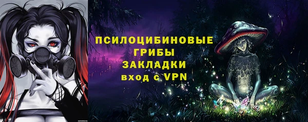 дживик Балахна