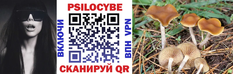 Псилоцибиновые грибы MAGIC MUSHROOMS  KRAKEN зеркало  Кондрово  дарнет шоп 