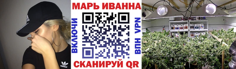Бошки марихуана планчик mega Кондрово
